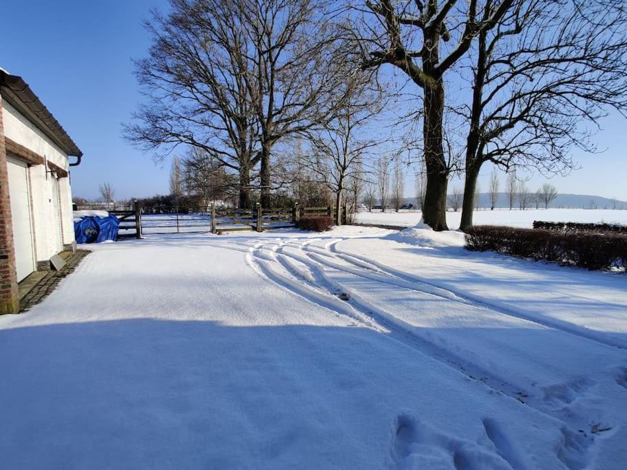 The Horst Cottage Holsbeek Exterior foto